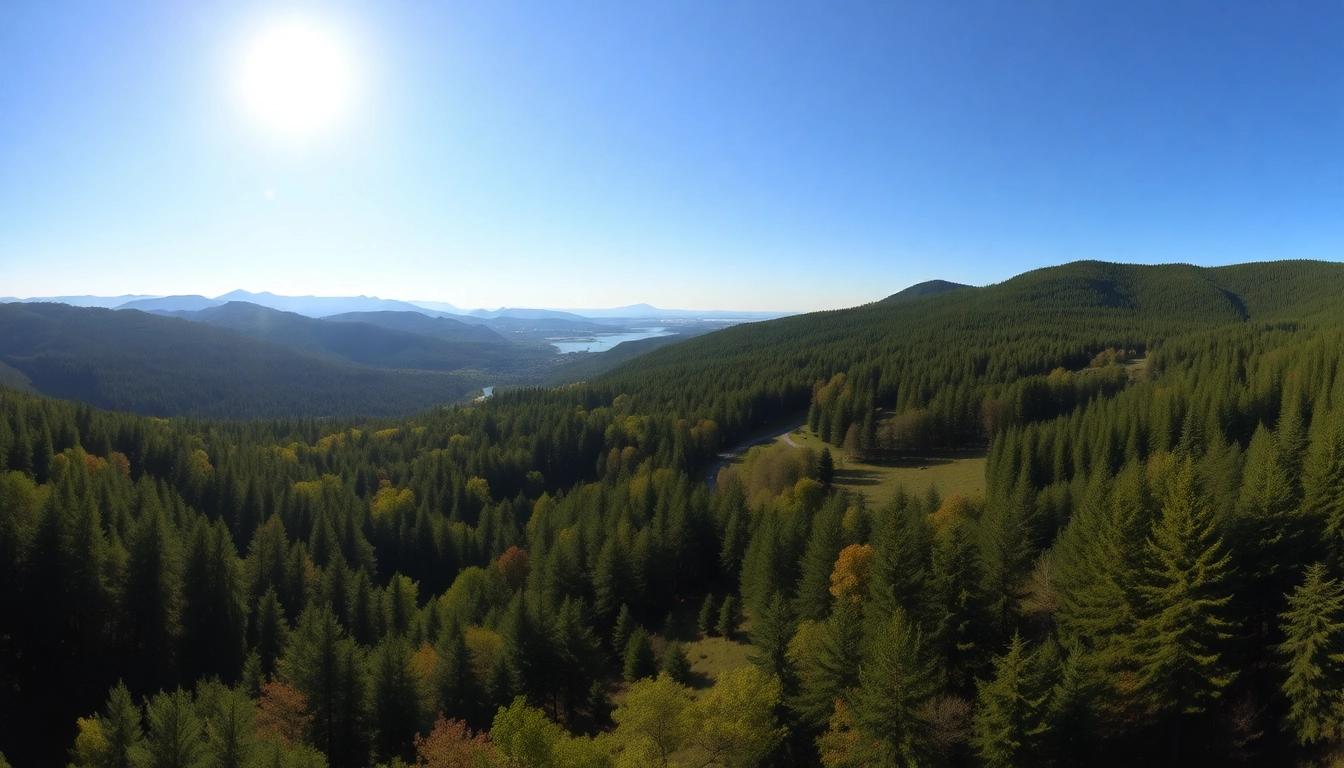 Scenic views of Thüringer Wald with lush forests and walking trails, showcasing its natural beauty and peaceful atmosphere.